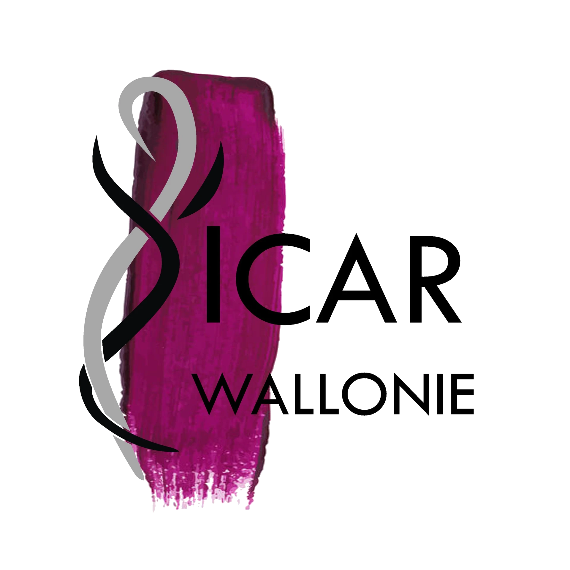 Logo Icar Wallonie